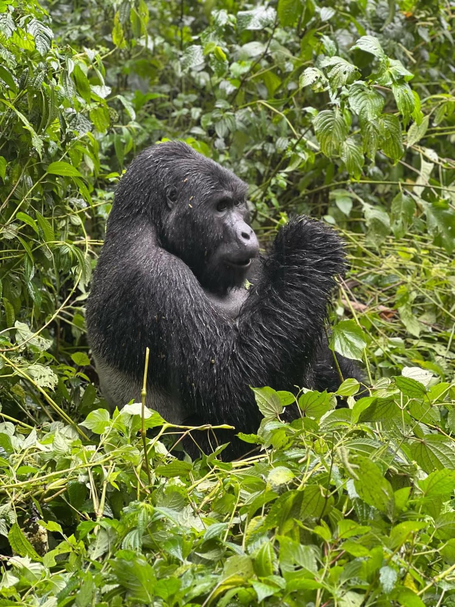 Om Hostel Bunyonyi Kabale Eksteriør billede